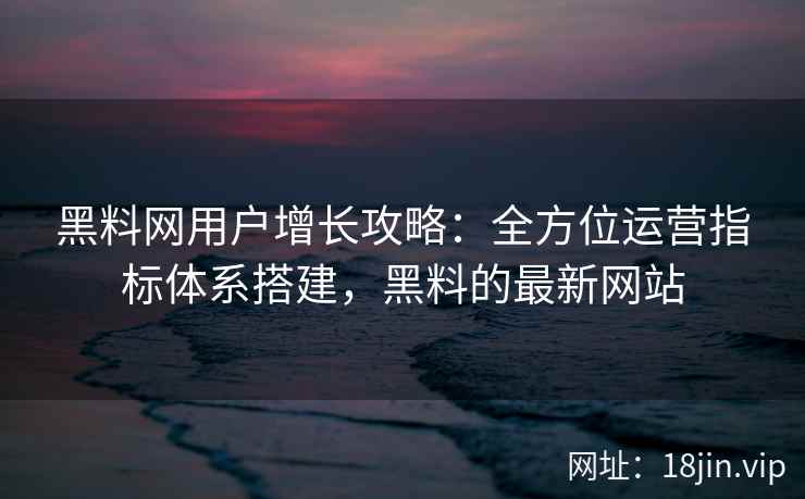 黑料网用户增长攻略：全方位运营指标体系搭建，黑料的最新网站