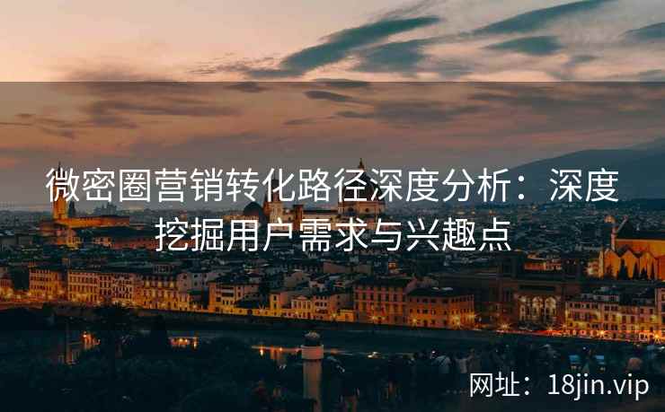 微密圈营销转化路径深度分析：深度挖掘用户需求与兴趣点