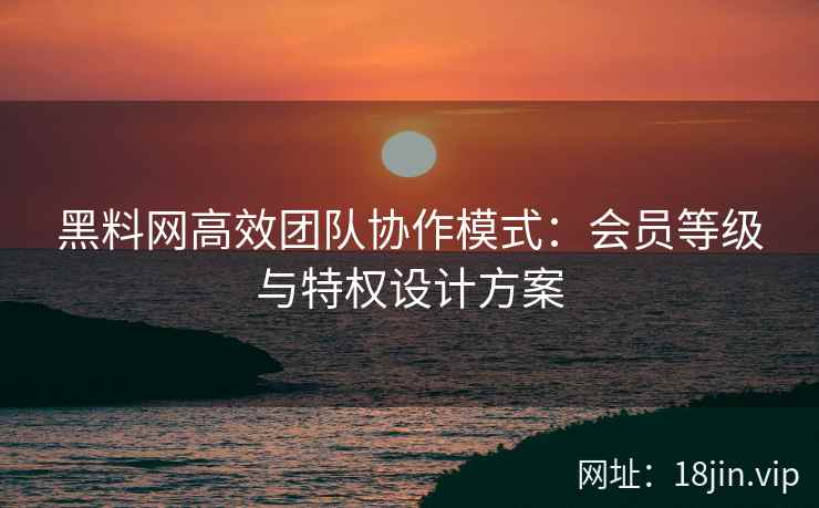 黑料网高效团队协作模式：会员等级与特权设计方案