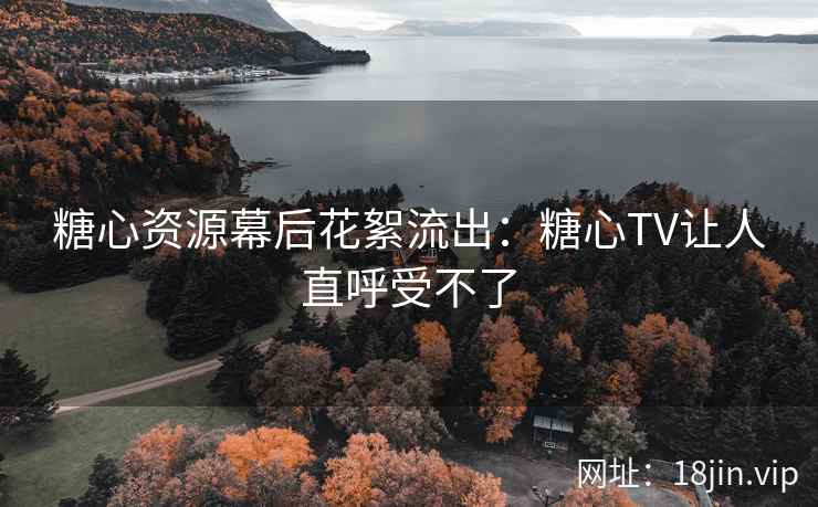 糖心资源幕后花絮流出：糖心TV让人直呼受不了