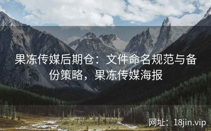 果冻传媒后期仓：文件命名规范与备份策略，果冻传媒海报
