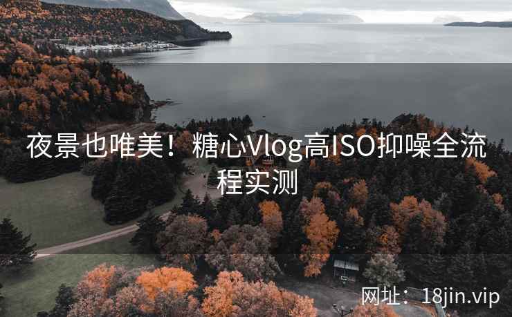 夜景也唯美！糖心Vlog高ISO抑噪全流程实测