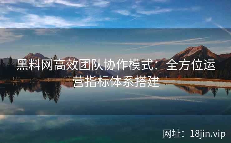 黑料网高效团队协作模式：全方位运营指标体系搭建