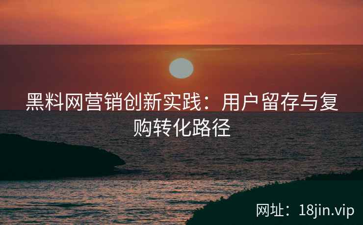 黑料网营销创新实践：用户留存与复购转化路径