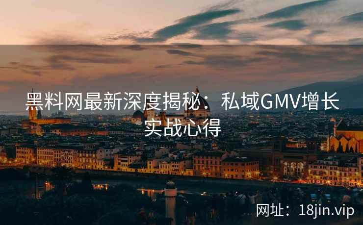 黑料网最新深度揭秘：私域GMV增长实战心得