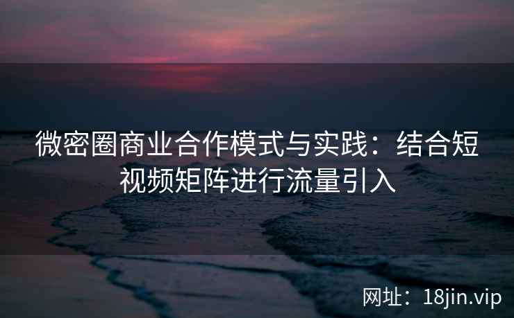 微密圈商业合作模式与实践：结合短视频矩阵进行流量引入