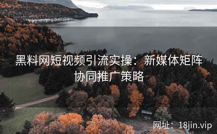 黑料网短视频引流实操：新媒体矩阵协同推广策略