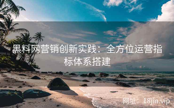 黑料网营销创新实践：全方位运营指标体系搭建