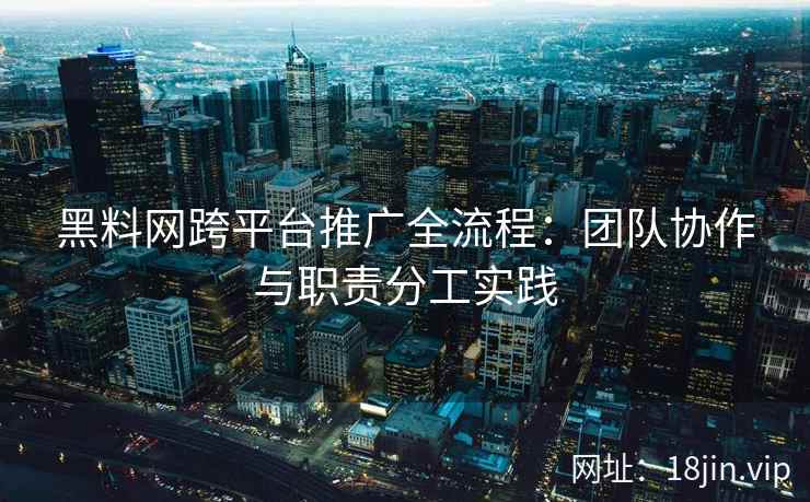 黑料网跨平台推广全流程：团队协作与职责分工实践